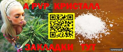 спайс Будённовск