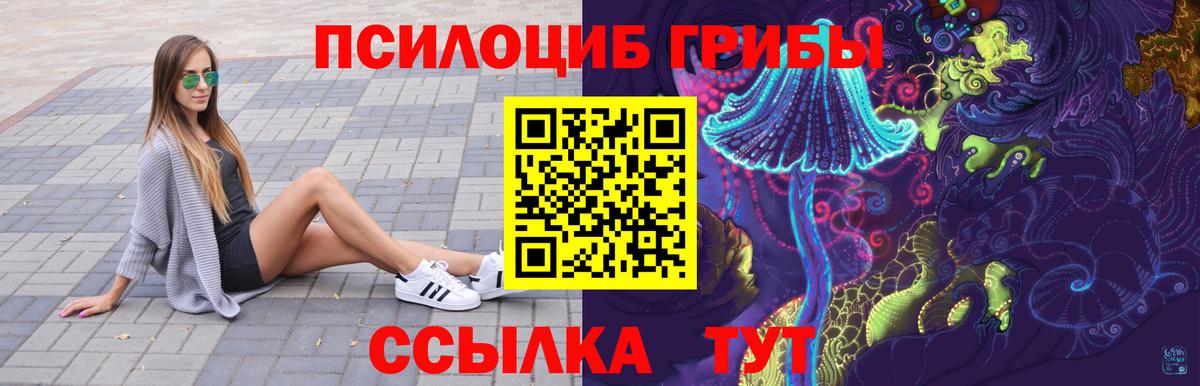 Псилоцибиновые грибы ЛСД Курган