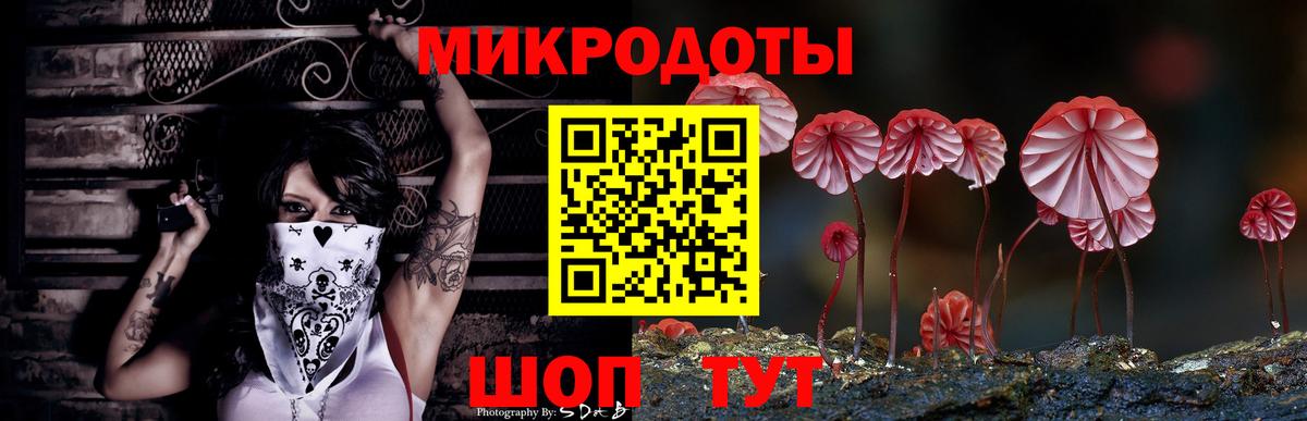 Галлюциногенные грибы Psilocybine cubensis  Вход с VPN  купить  сайты  Курган 