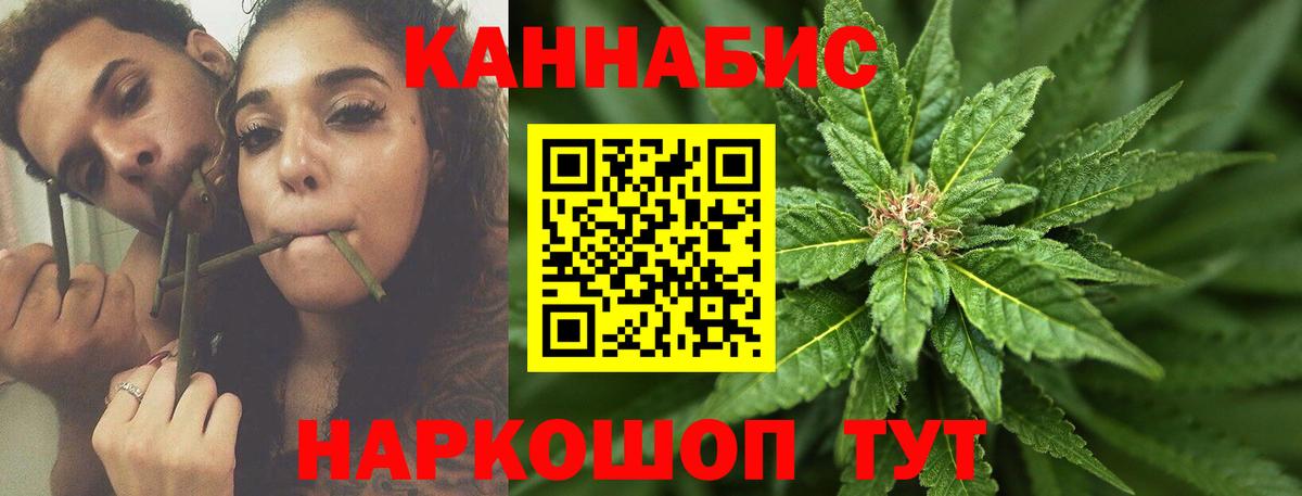 Бошки Шишки ГИДРОПОН  Канабис семена  Вход с VPN  Каннабис сатива  Курган 